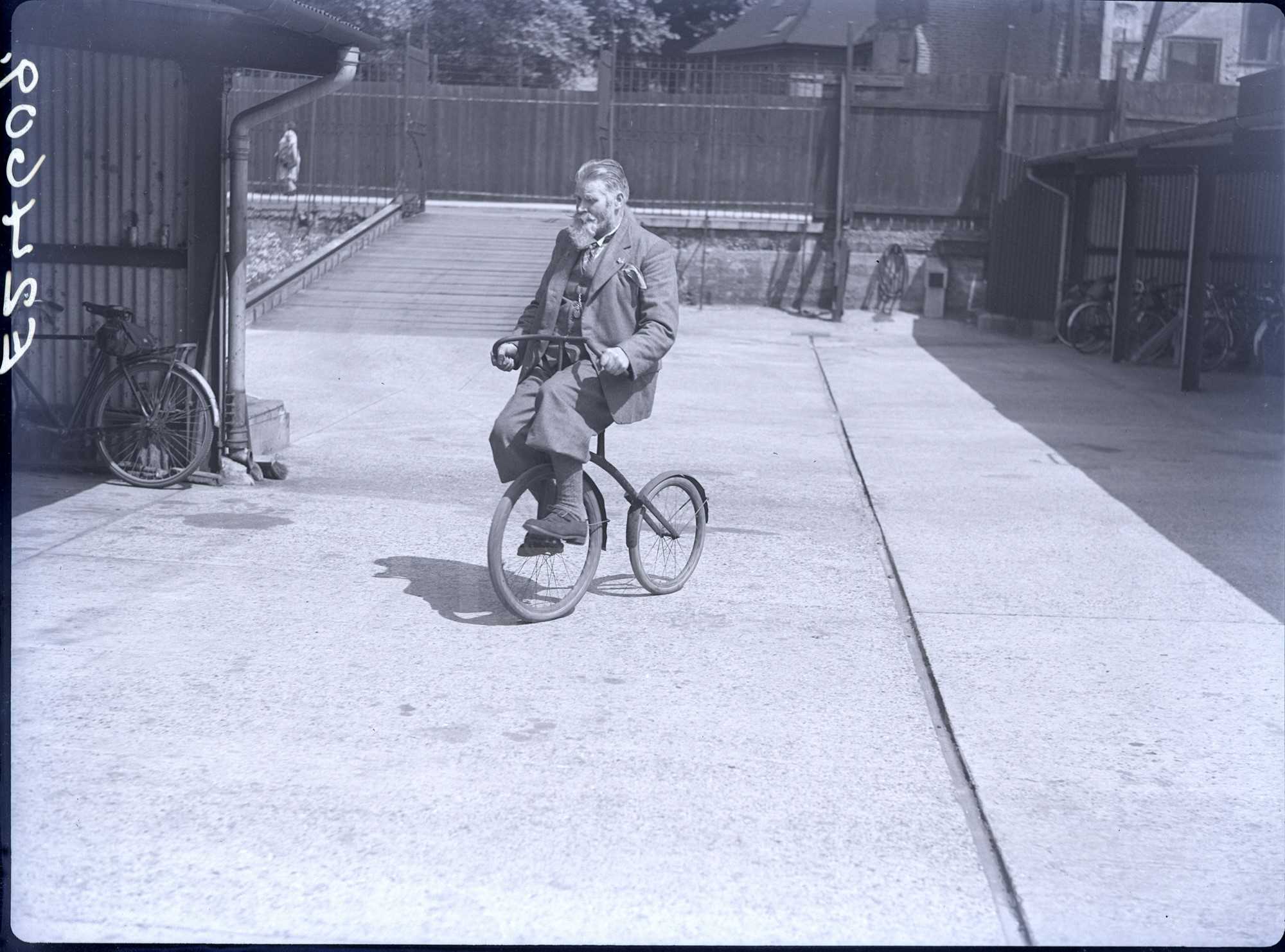 humour trike tricycle cycle family cycling The Stilltime Collection