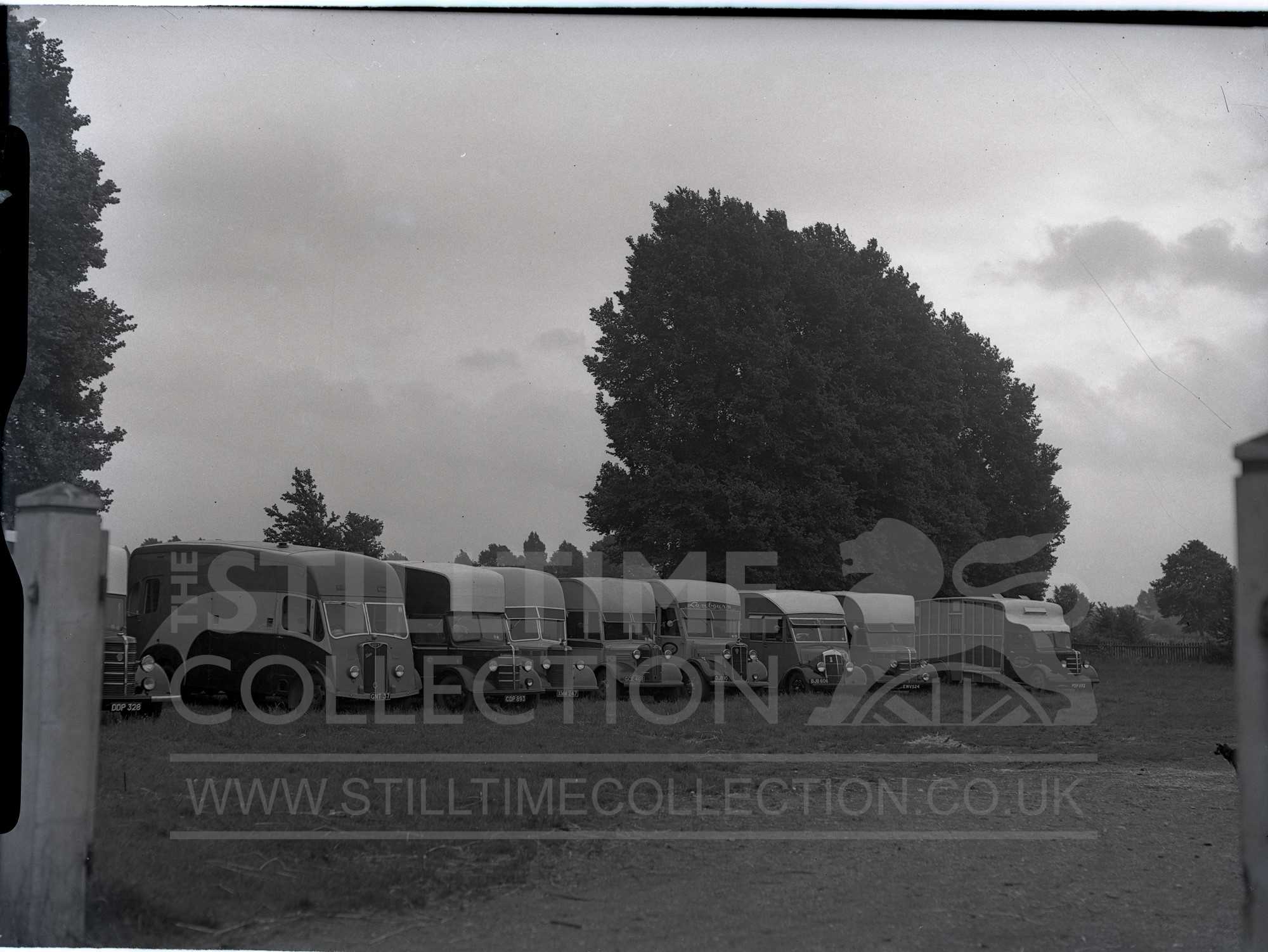 tpt transport truck lorry wagon horse equine boxes epsom The