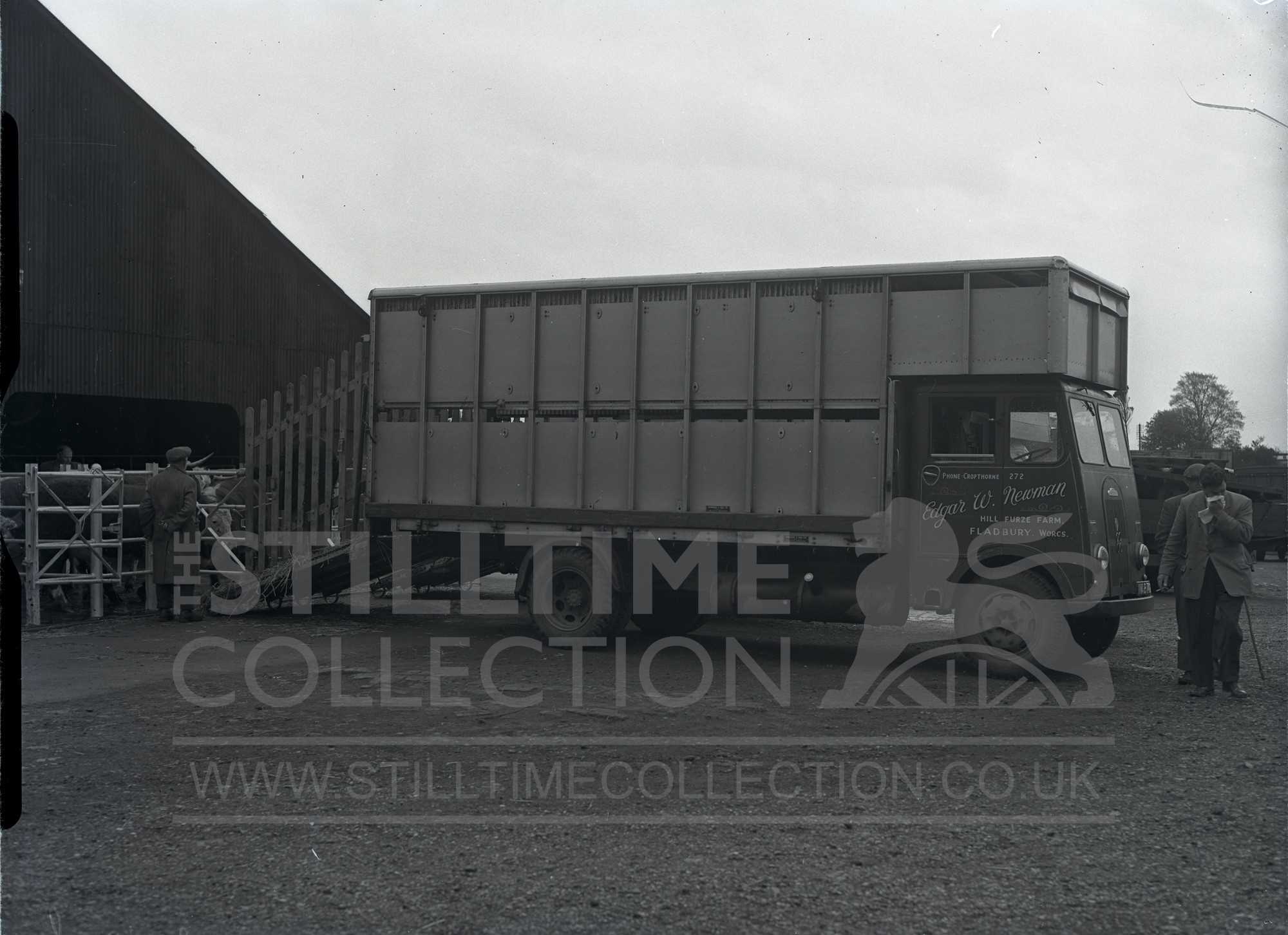 tpt transport truck lorry wagon cattle cows transportation vehicle